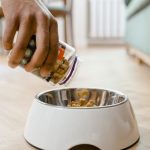 Close-up of a hand pouring dog food from a container into a white dog bowl on a wooden floor indoors.