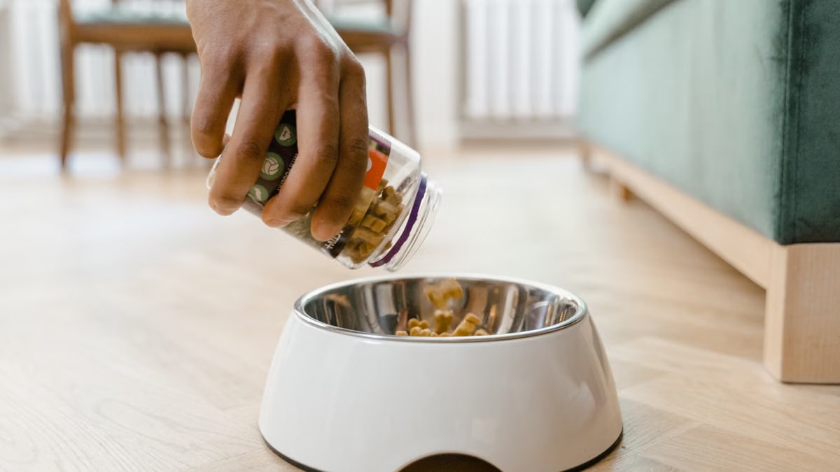 Close-up of a hand pouring dog food from a container into a white dog bowl on a wooden floor indoors.